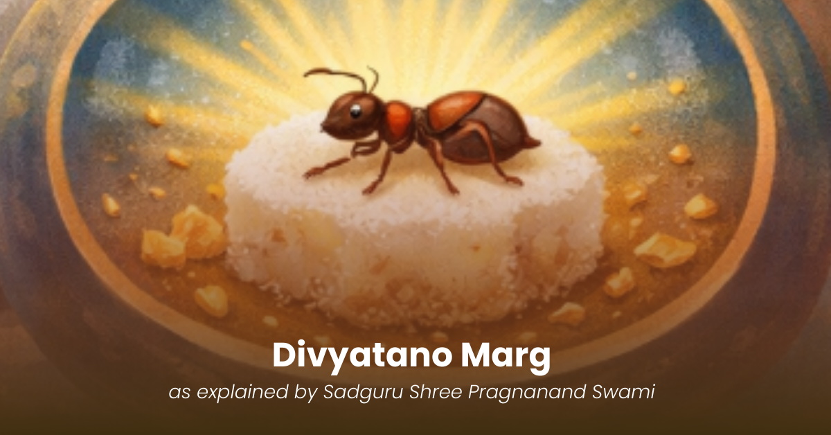 Divyatano Marg – Path of Divinity